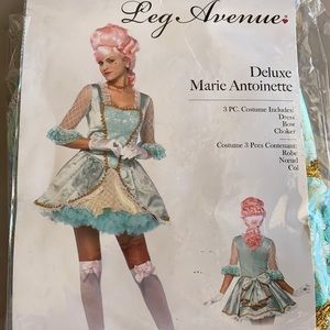 Marie Antoinette costume size medium